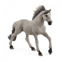 Figurka Koń Mustang Ogier Rasy Sorraia