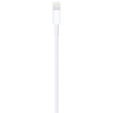 Apple Kabel Lightning - USB 1 m