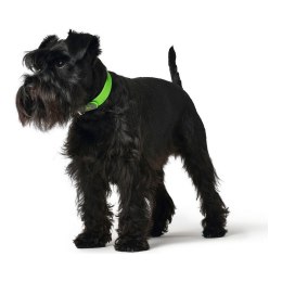 Obroża dla psa Hunter Convenience Kolor Zielony Rozmiar S/M (33-41 cm)