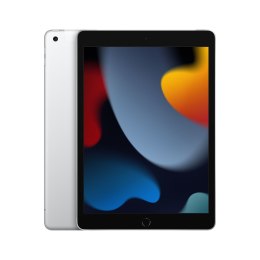 Apple iPad Wi-Fi + LTE 256GB Silver (2021)