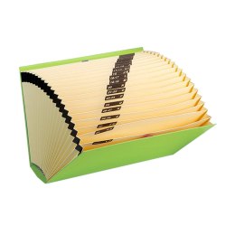 Folder organizacyjny Carchivo Kolor Zielony Din A4 35 x 25 x 5 cm