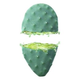 Nawilżający krem do twarzy Cactus Opuntia 24h Weleda (30 ml)
