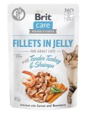 BRIT Care Fillets in Jelly Flavour Box - mokra karma dla kota - 12 x 85 g