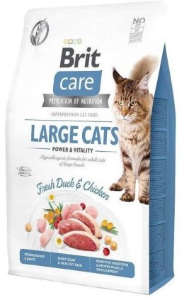 Brit Care Cat G-F Large Cats 2kg
