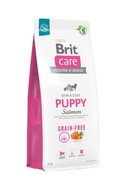 Brit Care Dog Grain-Free Puppy Salmon 12kg