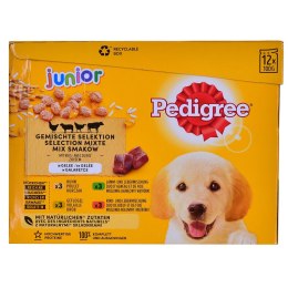 PEDIGREE Junior Wybór smaków w galaretce - mokra karma dla psa - 12x100 g