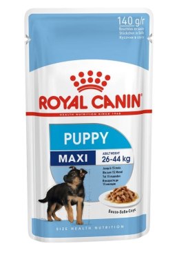 ROYAL CANIN SHN Maxi Puppy w sosie - mokra karma dla szczeniąt - 10x140 g