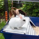 FERPLAST Rabbit 120 - klatka dla królika