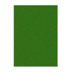 Okładki do bindowania Displast Kolor Zielony A4 Karton 50 Części