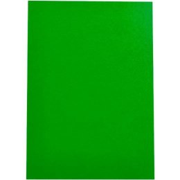 Okładki do bindowania Displast Kolor Zielony A4 polipropylen 50 Części