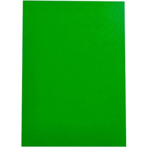Okładki do bindowania Displast Kolor Zielony A4 polipropylen 50 Części