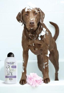 WAHL Four in One 2w1 - szampon z odżywką dla psa
