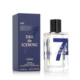 Perfumy Męskie Iceberg EDT 100 ml Eau De Iceberg Cedar
