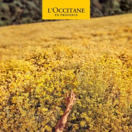 Dezodorant L'Occitane En Provence Homme Roll-On 50 ml
