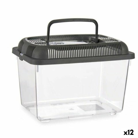 Akwarium Z uchwytem Średni Antracyt Plastikowy 3 L 17 x 16 x 24 cm (12 Sztuk) Akwarium Z uchwytem Średni Antracyt Plastikowy 3 L 17 x 16 x 24 cm (12 Sztuk)