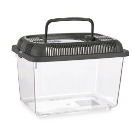 Akwarium Z uchwytem Średni Antracyt Plastikowy 3 L 17 x 16 x 24 cm (12 Sztuk)