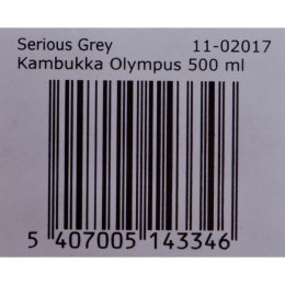 Termos Kambukka Olympus Stal nierdzewna 500 ml
