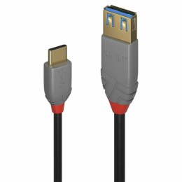 Adapter USB C na DisplayPort LINDY 36895 150 cm Czarny