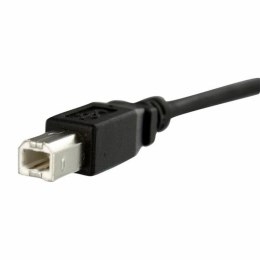 Kabel USB Startech USBPNLBFBM1 USB B Czarny