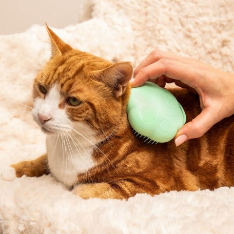 Szczotka Tangle Teezer Zwierzęta Kolor Zielony Szczotka Tangle Teezer Zwierzęta Kolor Zielony