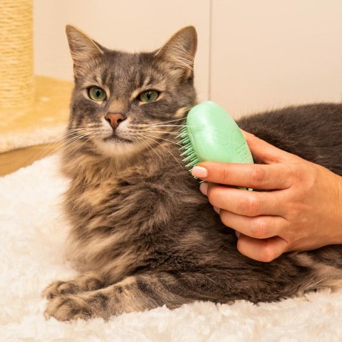 Szczotka Tangle Teezer Zwierzęta Kolor Zielony Szczotka Tangle Teezer Zwierzęta Kolor Zielony