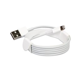 Kabel USB do Lightning Apple Lightning - USB Lightning 2 m Biały
