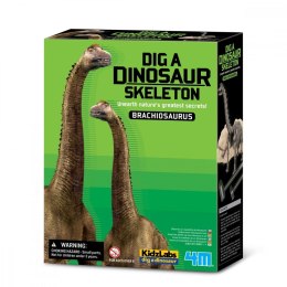 Zestaw naukowy Wykopaliska - Brachiozaur
