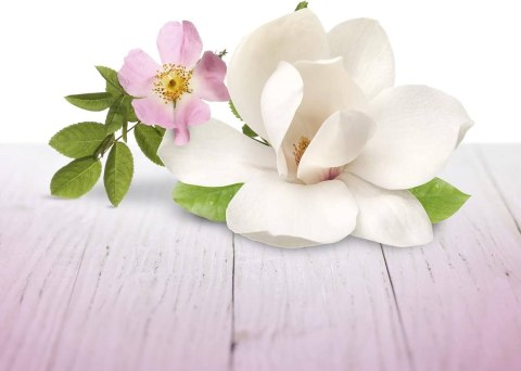 Air Wick Blutenfrische Fleurs Odświeżacz w Żelu 150 g Air Wick Blutenfrische Fleurs Odświeżacz w Żelu 150 g