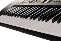 CASIO CTK-240 - Keyboard