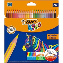Kredki Bic Kids Evolution Stripes Wielokolorowy 24 Części