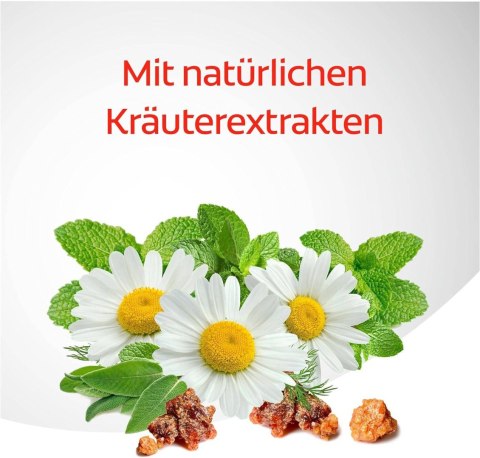 Colgate Dentagard Ziołowa Pasta do Zębów 75 ml Colgate Dentagard Ziołowa Pasta do Zębów 75 ml