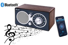 Radio CZAJKA Bluetooth szary