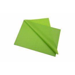 Bibułka Sadipal Kolor Zielony 50 x 75 cm 520 Części