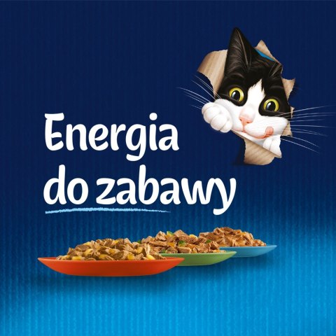 PURINA Felix Fantastic: wiejskie smaki - karma dla kota - 24 x 85g PURINA Felix Fantastic: wiejskie smaki - karma dla kota - 24 x 85g