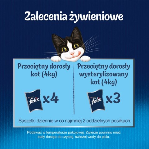 PURINA Felix Fantastic: wiejskie smaki - karma dla kota - 24 x 85g PURINA Felix Fantastic: wiejskie smaki - karma dla kota - 24 x 85g