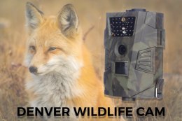 Kamera do obserwacji dzikiej przyrody Denver WCT-5001