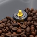 Superautomatyczny ekspres do kawy Gaggia RI9604/01 Czarny Stal 1900 W 15 bar 1,5 L 300 g