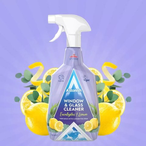 Astonish Window Płyn do Mycia Szyb 750 ml Astonish Window Płyn do Mycia Szyb 750 ml
