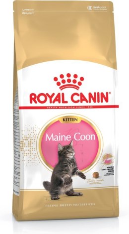 ROYAL CANIN FBN Maine Coon Kitten - sucha karma dla kociąt - 4kg
