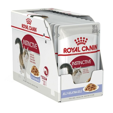 ROYAL CANIN FHN Instinctive w galaretce - mokra karma dla kota dorosłego - 12x85g ROYAL CANIN FHN Instinctive w galaretce - mokra karma dla kota dorosłego - 12x85g