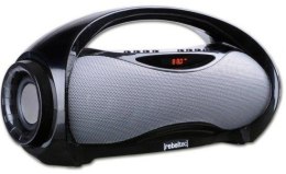 SoundBox 320 przenośny głośnik Bluetooth z funcją FM