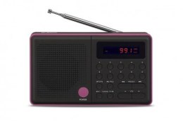Radio Pliszka USB, FM czarne