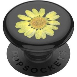 POPSOCKETS Uchwyt do telefonu Premium Pressed Flower Yellow Daisy