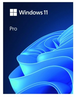 Windows Pro 11 64bit PL USB Flash Drive Box HAV-00209