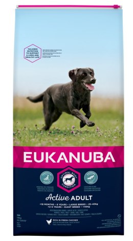 EUKANUBA Active Adult Large Breed - sucha karma dla psów dorosłych dużych ras z kurczakiem - 15 kg