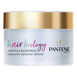 Maska do Włosów Hair Biology Purifica & Repara Pantene (160 ml)