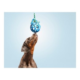 Gryzak dla psa Gloria Siatka Asortyment kolorów (7 cm) (7 x 30 cm)