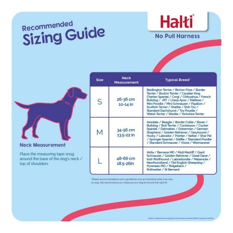 Szelki dla psa Company of Animals Halti Rozmiar S (26-36 cm) Szelki dla psa Company of Animals Halti Rozmiar S (26-36 cm)