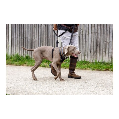 Szelki dla psa Company of Animals Halti Rozmiar S (26-36 cm) Szelki dla psa Company of Animals Halti Rozmiar S (26-36 cm)
