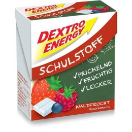 Dextro Energy Glukoza Mini Owoce Leśne 50 g